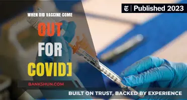 A Shot of Hope: The Arrival of COVID-19 Vaccines